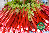 Rhubarb
