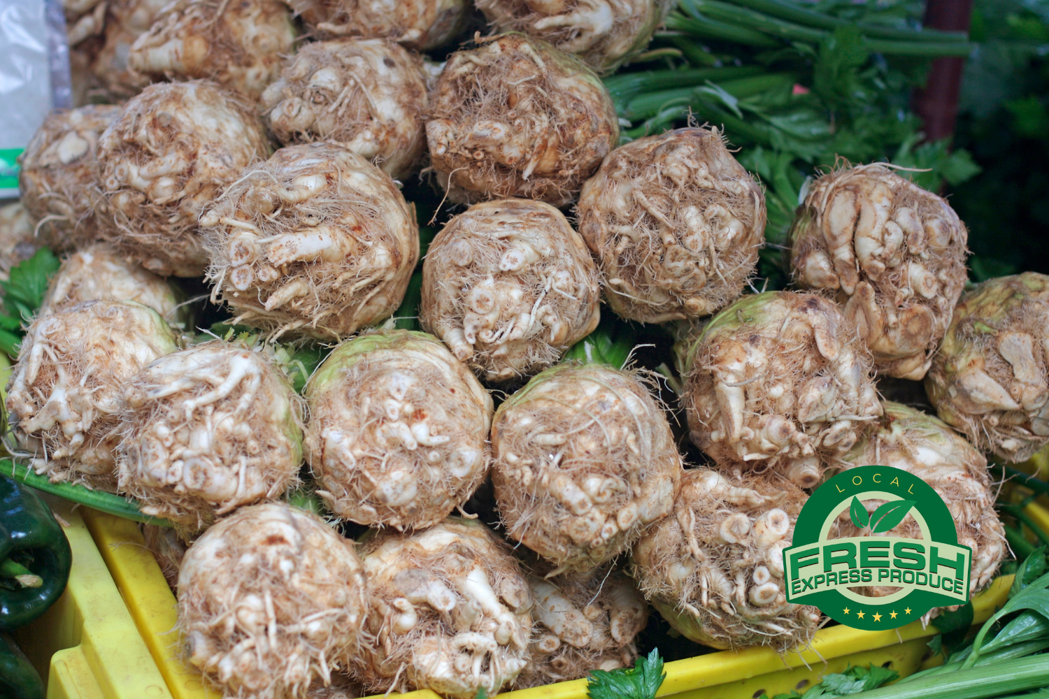 Celeriac