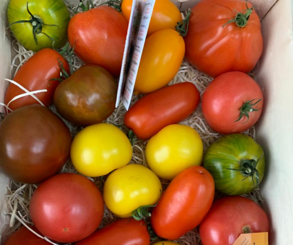 Heritage Tomatoes