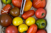 Heritage Tomatoes