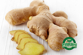 Ginger