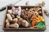 Mushrooms