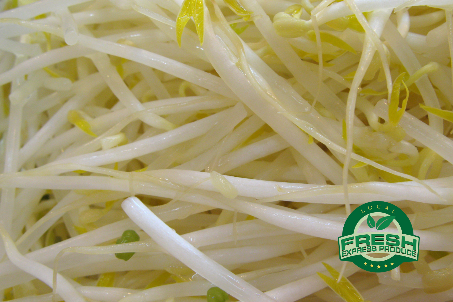 Beansprouts