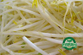 Beansprouts