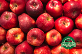 Apples